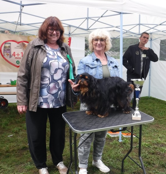 KV 2020-I, 11.7.2020, Městec Králové